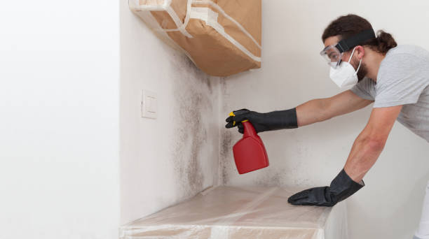 Professional Crawl Space Mold Removal technician working in Copiague, NY