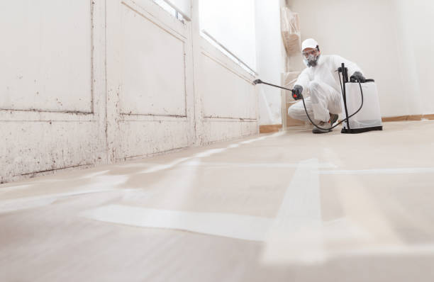 24/7 Emergency Crawl Space Mold Removal experts in Copiague, NY