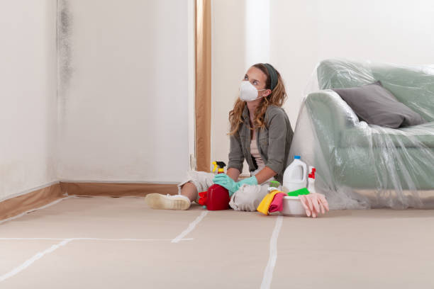 Reliable Crawl Space Mold Removal contractor in Copiague, NY by WQB Mold Removal